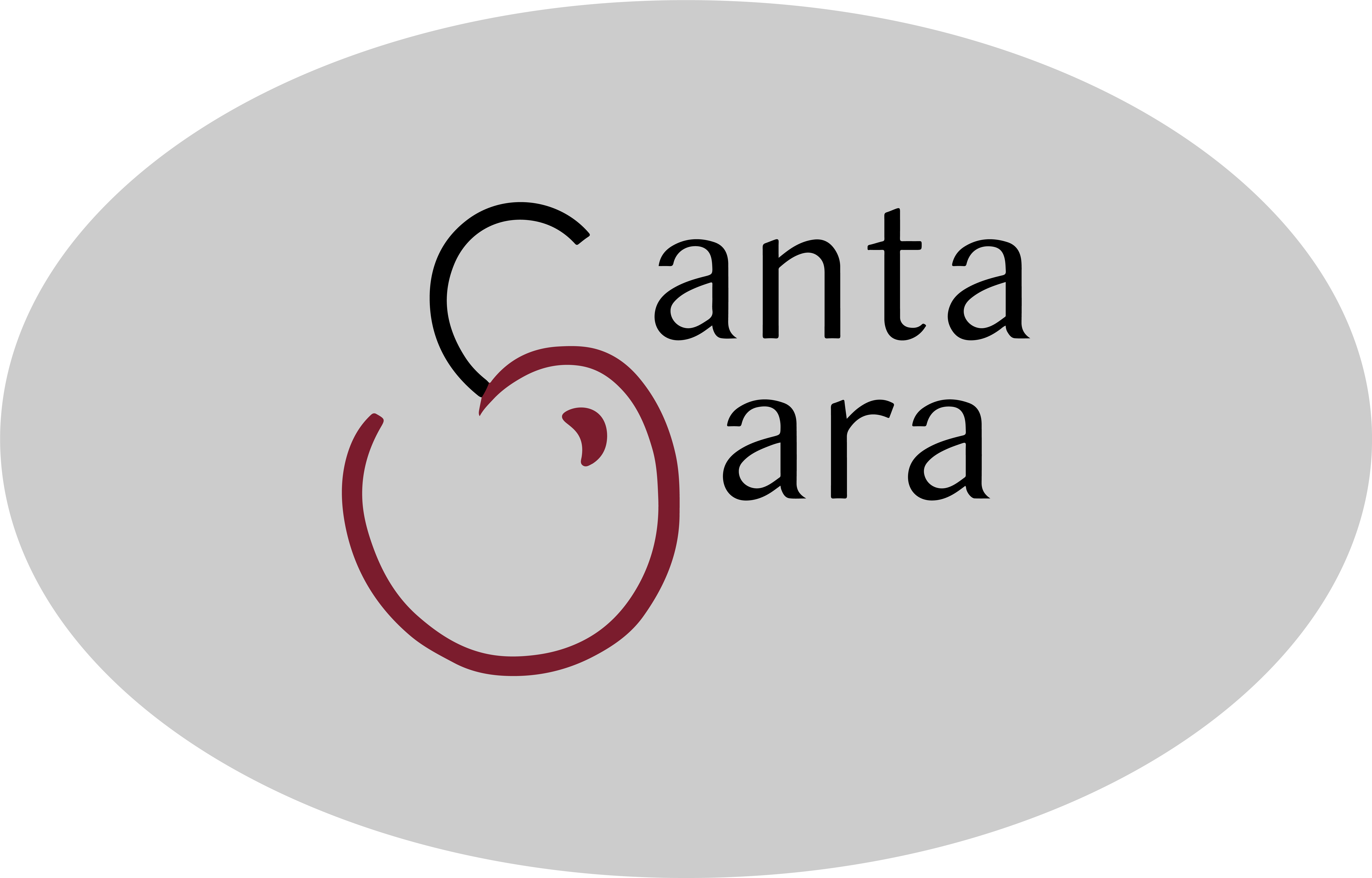 Santa Sara