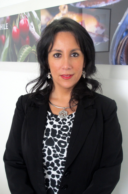 Sandra Ibañez