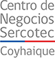 Centro de Negocios Coyhaique